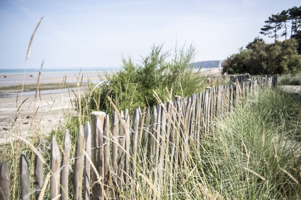 Jardin en limite avec la plage