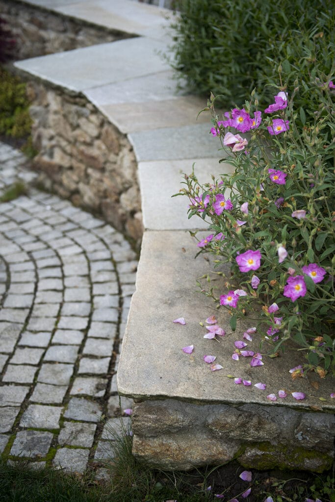 Massif de fleur débordant sur un muret en pierre
