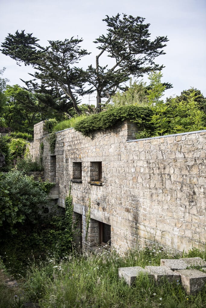 Un mur en pierre recouvert de végétation