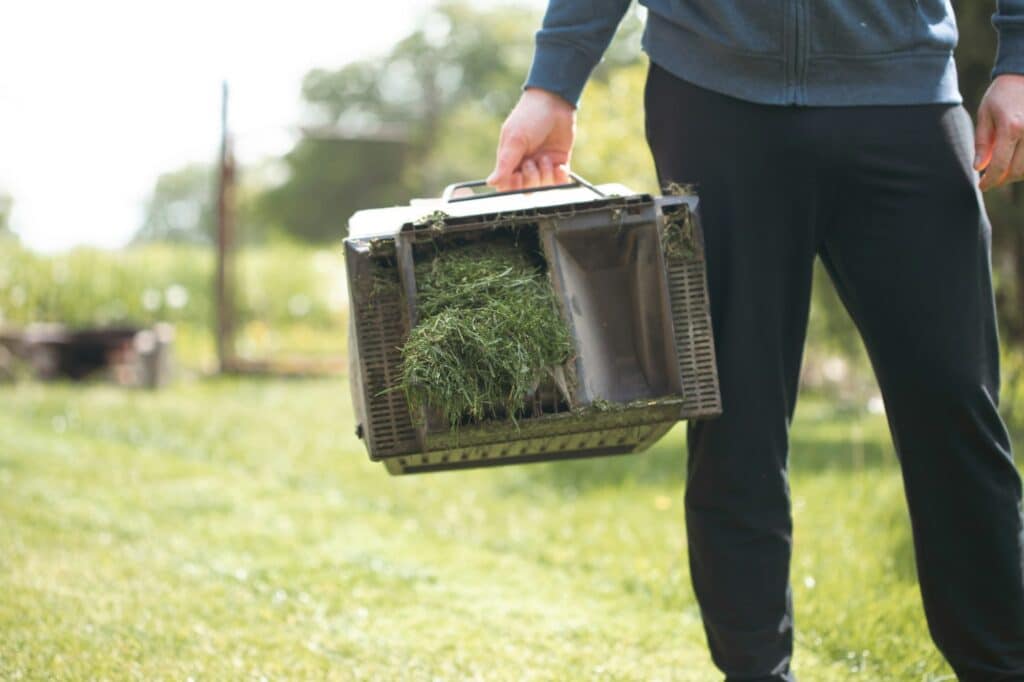 Déchets de tonte : que faire de l’herbe coupée au jardin ?