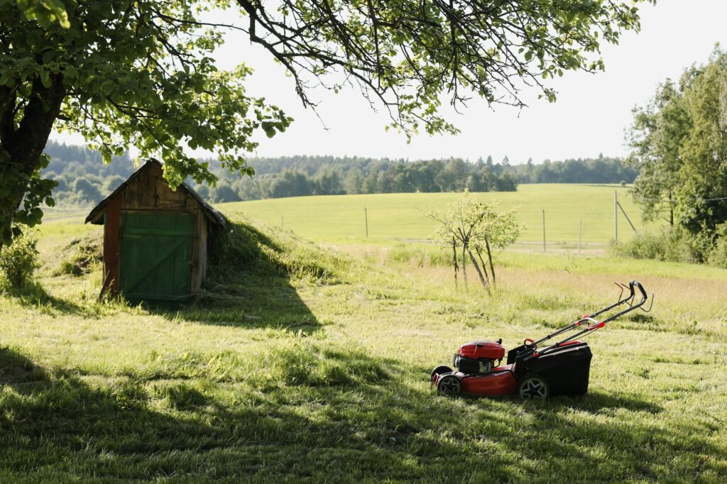 Rénover son gazon pelouse pour le printemps